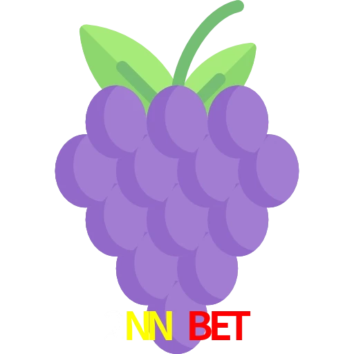 2NN BET